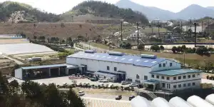 /company