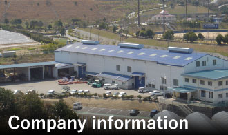 Company information