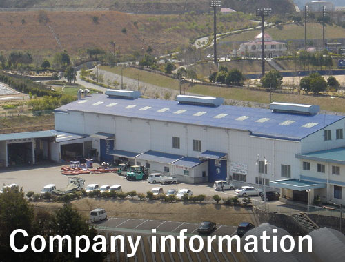 Company information